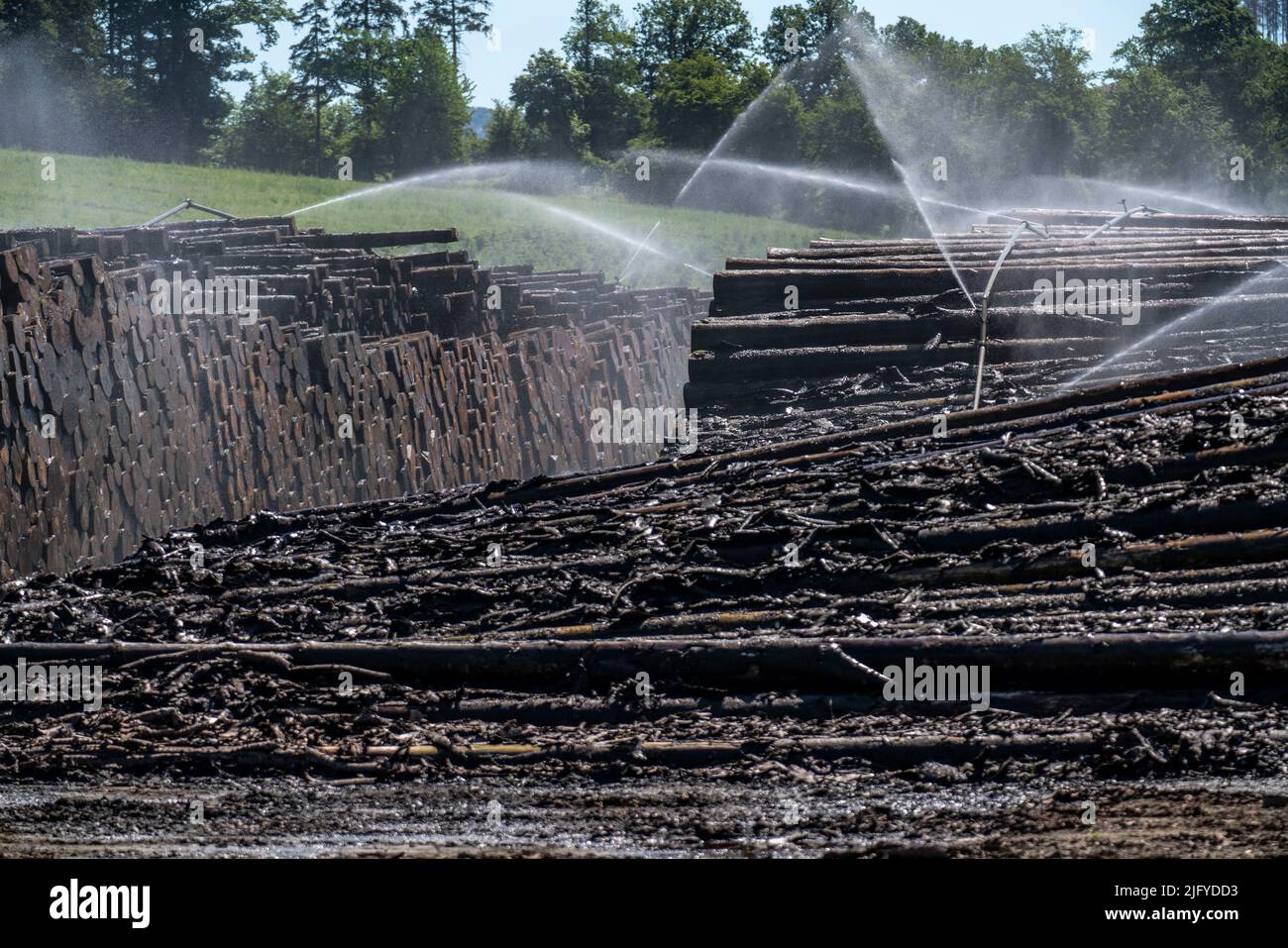 Wet timber hires stock photography and images Alamy
