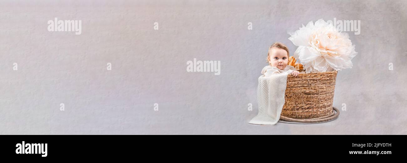 Baby in a basket on a gray background. Isolated photo with studio light. Preparing for childbirth, happy childhood and spending time with children. Stock Photo