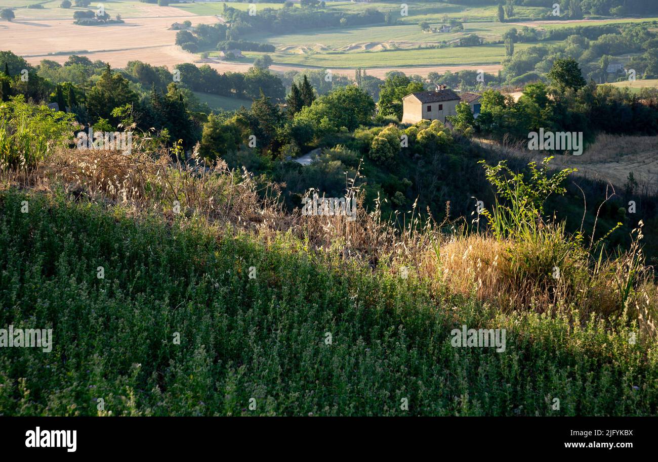 A house on the hill near Belverdere Fogliense in the Province of Pesaro and Urbino, right after the sunrise Stock Photo