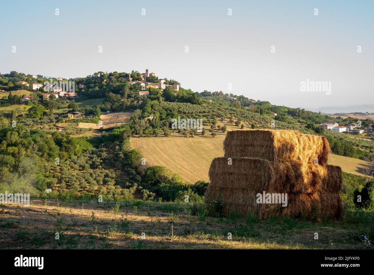 A view of Montegridolfo, an antique village in the Emilia-Romagna region of Italy. Cultivated fields on the hillside, under the first rays of sunlight Stock Photo