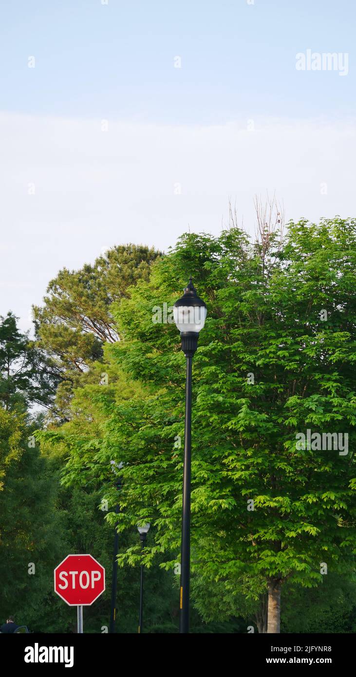 Traffic stop sign in a wooded parkland in Raleigh , South Carolina. Stock Photo