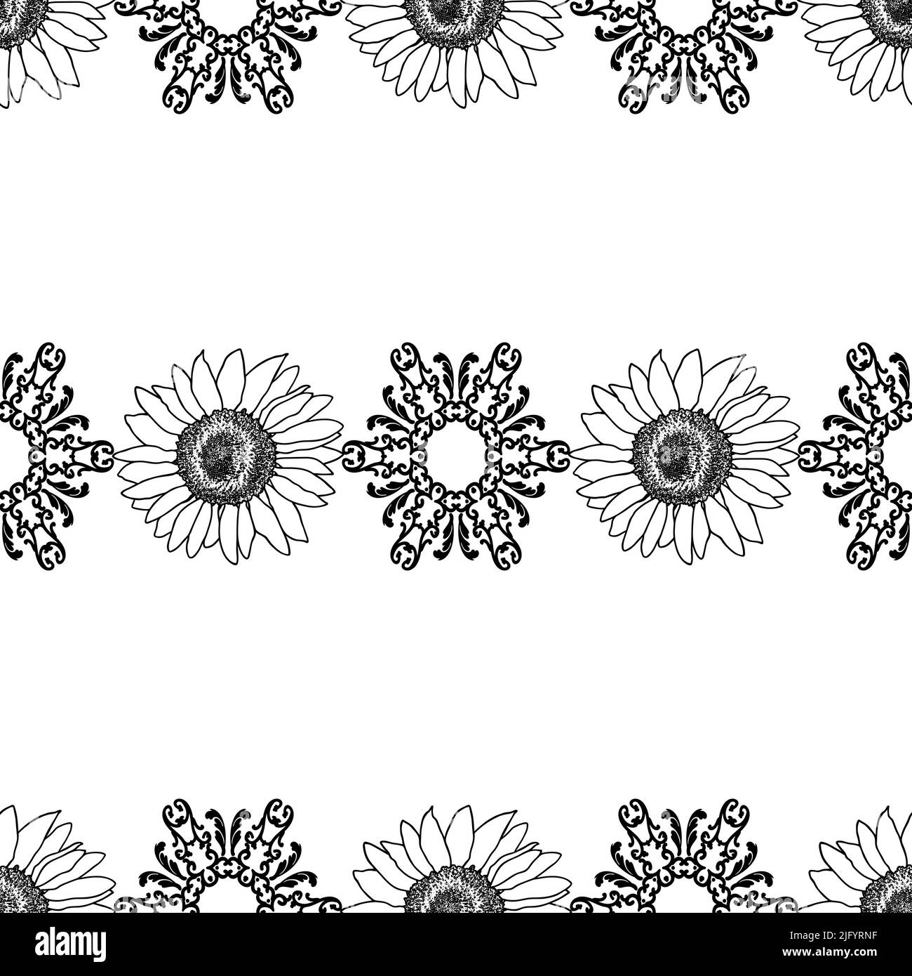 Hand drawn garden sunflower Black and White Stock Photos & Images - Alamy