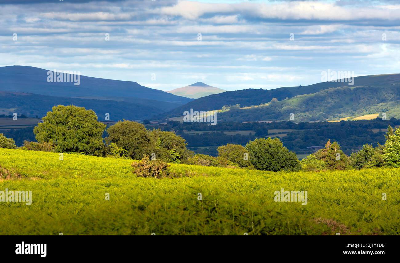The Sugarloaf, a mountain situated north west of Abergavenny in Monmouthshire, Wales, UK as seen from Mynydd Illtud in the Brecon Beacons Stock Photo