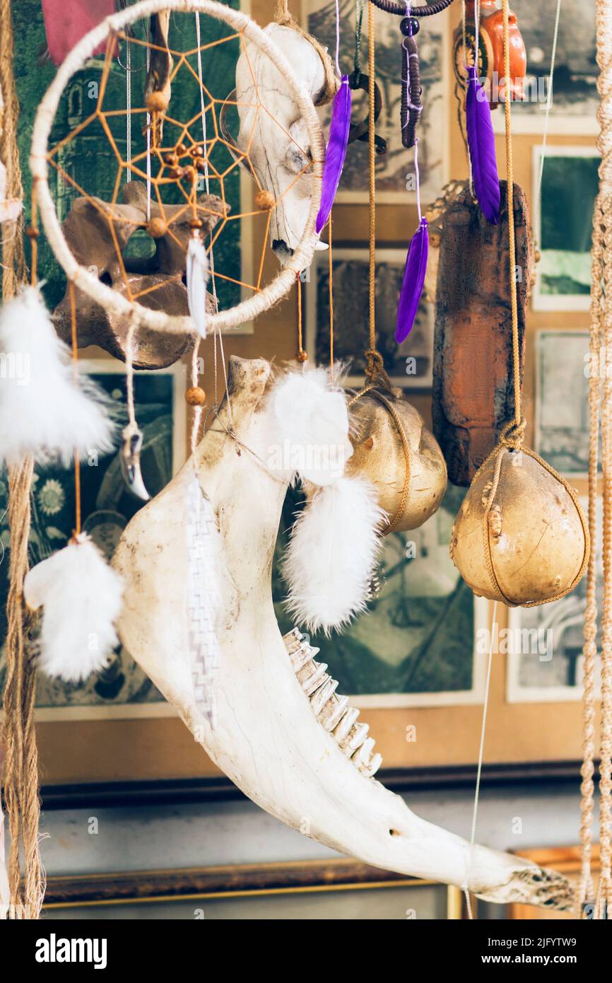 Art installation of decorative elements and bones Stock Photo Alamy