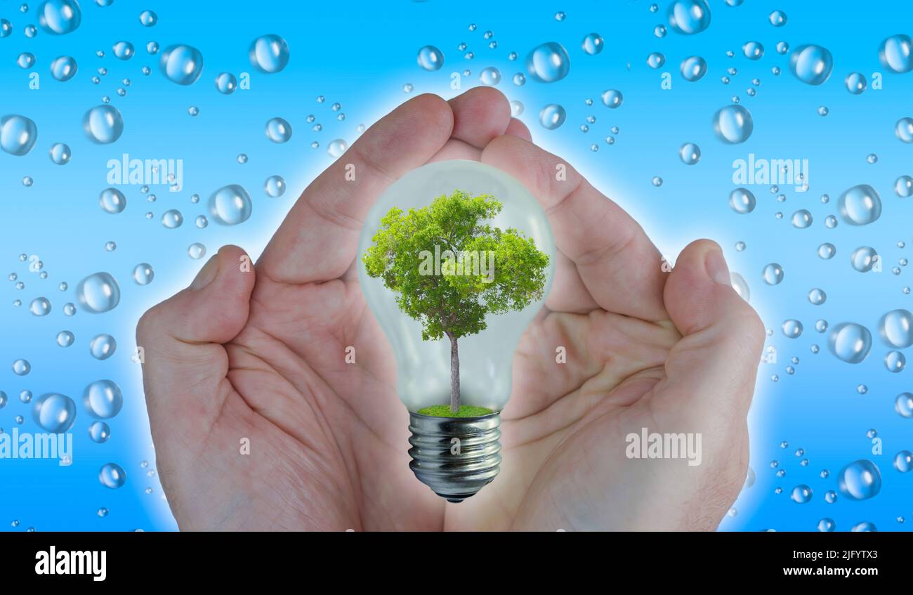 Climate change, natural resources, water and vegetation concept. Male hands holding a light bulb