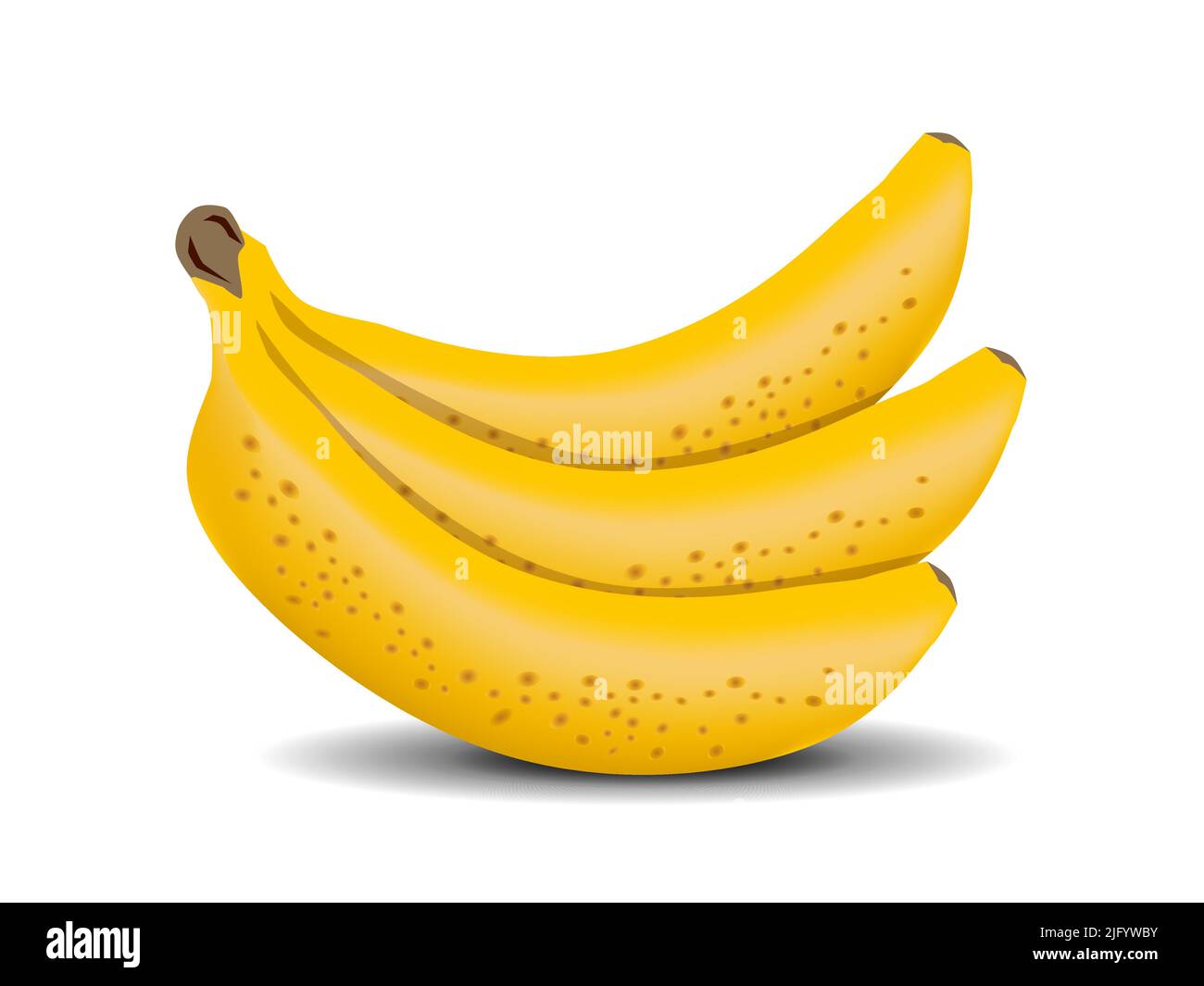 Bunch of fresh banana fruits Royalty Free Vector Image