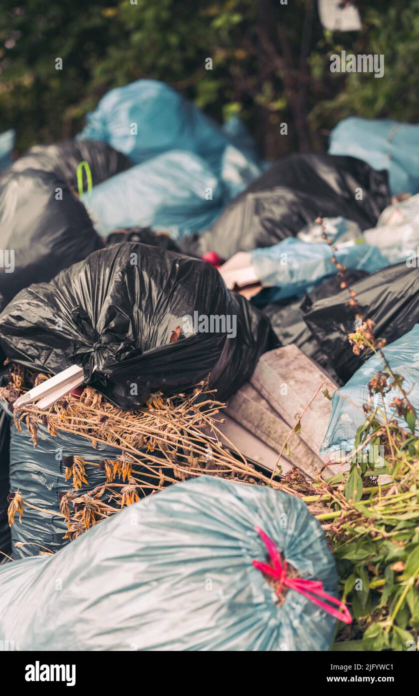 A Black Plastic Garbage Bag Being Lifted And Displaced By A Powerful Green  Tree Sapling Stock Photo, Picture and Royalty Free Image. Image 25113334.