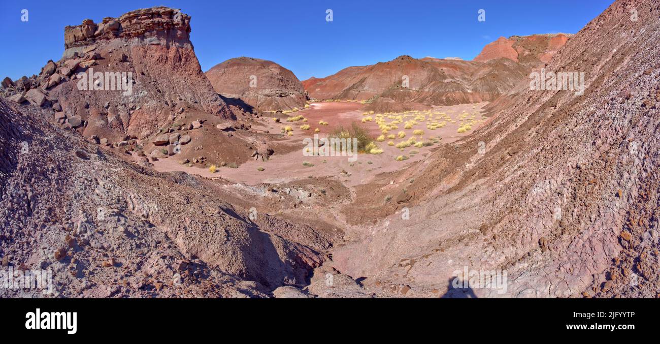 A sandy dry pond in Tiponi Valley within Petrified Forest National Park