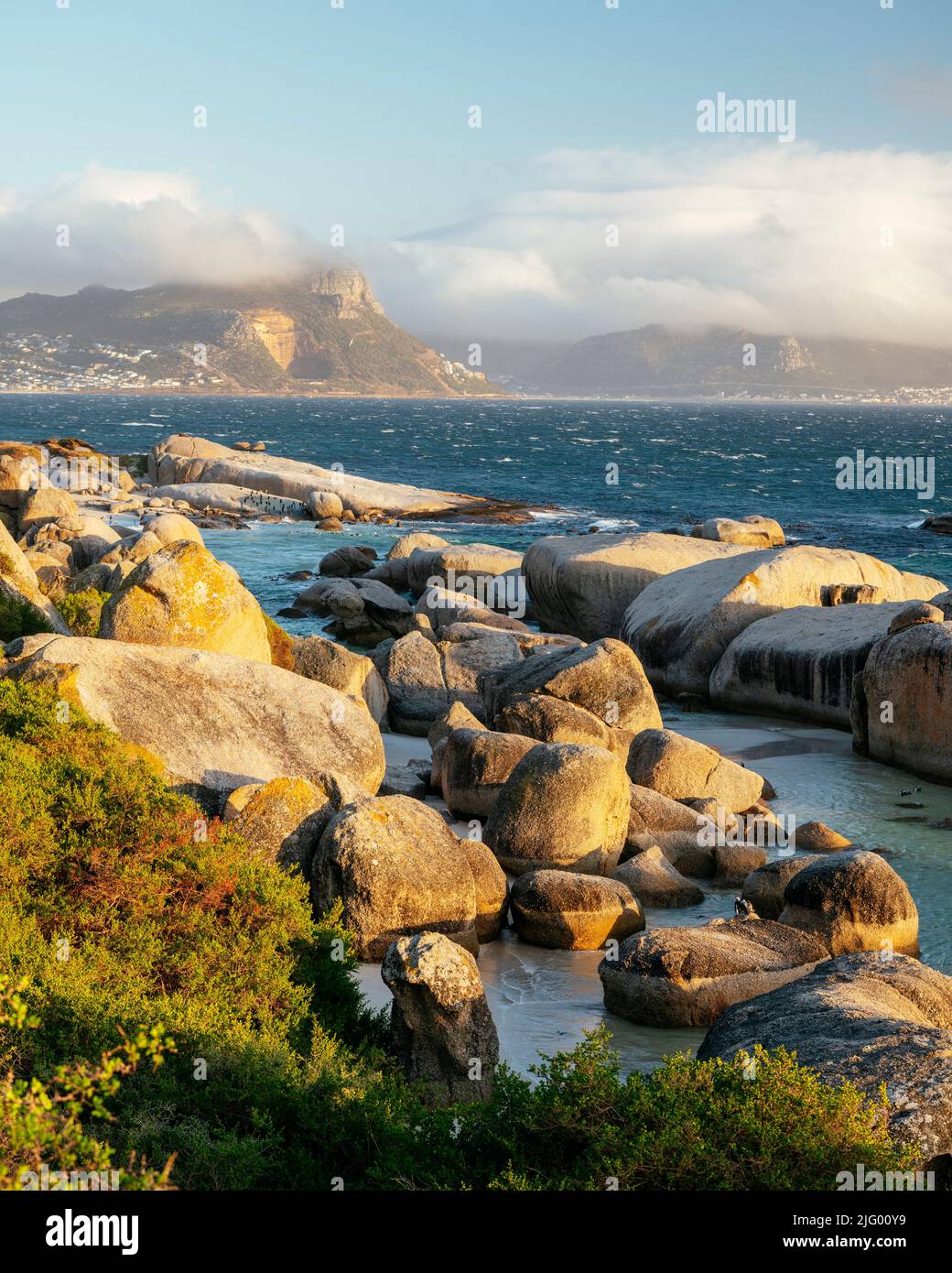 Boulders Beach, Cape Town, Western Cape, South Africa, Africa Stock