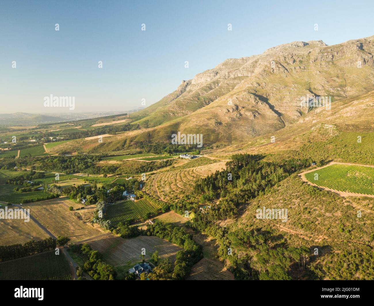 Aerial view of wine vineyards near Stellenbosch, Western Cape, South Africa, Africa Stock Photo
