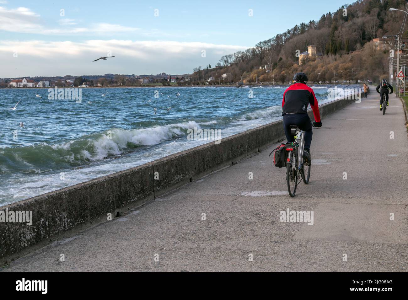 commuters on the shore cycle path at Lake Constance Stock Photo Alamy