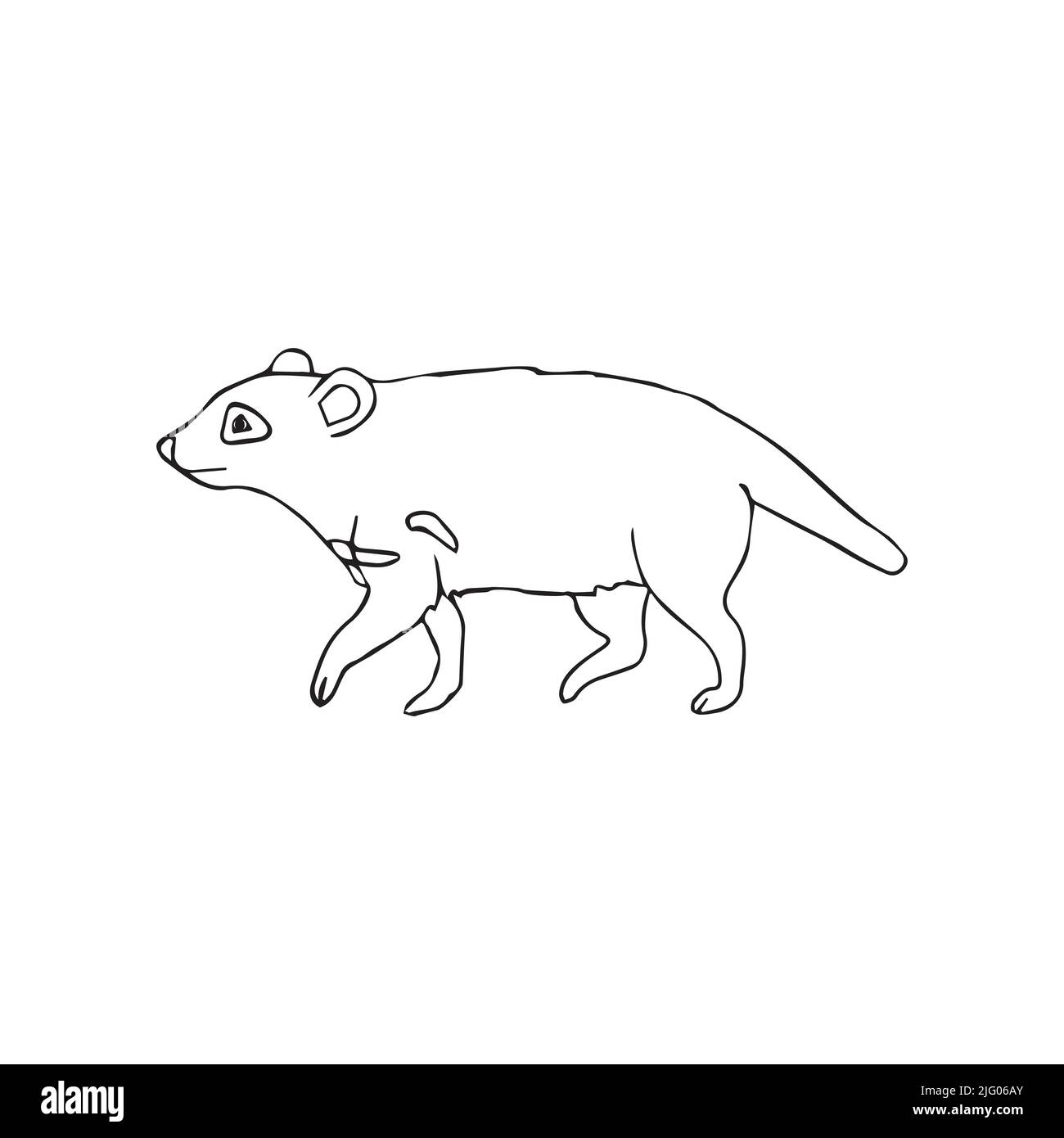 Vector hand drawn doodle sketch Tasmanian devil isolated on white ...