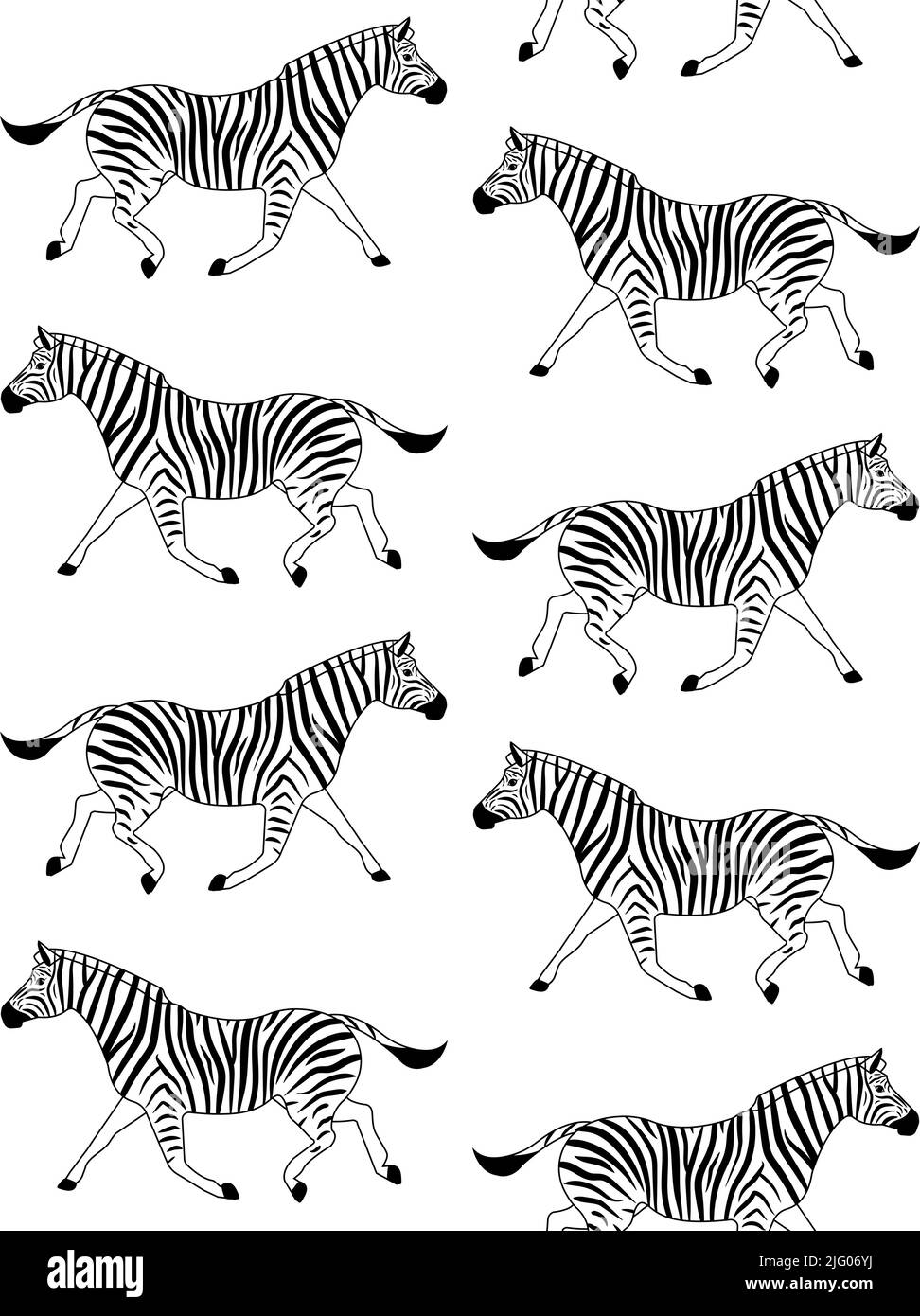 Vector seamless pattern of flat zebra isolated on white background ...