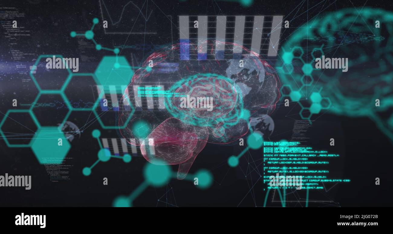 Image of chemical formulas and data processing over fingerprints and brain Stock Photo