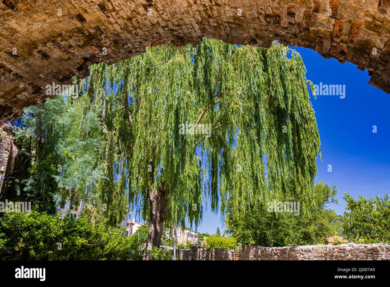 A glimpse of the medieval village of Bevagna. Perugia, Umbria, Italy. Blue sky in a sunny summer day. The big weeping willow below the masonry bridge. Stock Photo