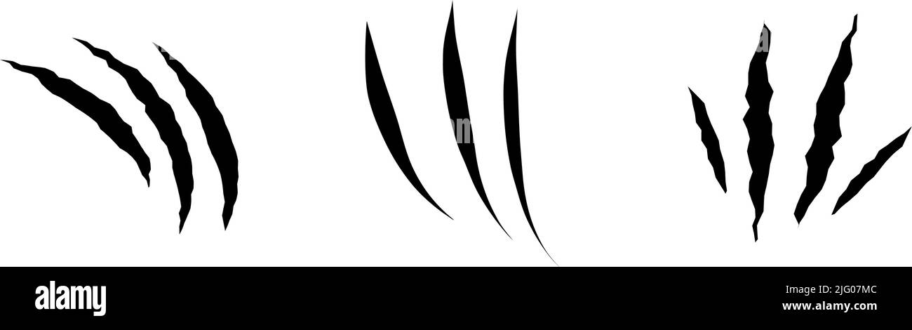 Black claws scratch. Monster, beast bite. Fight scar. (Full Vector) vector  de Stock