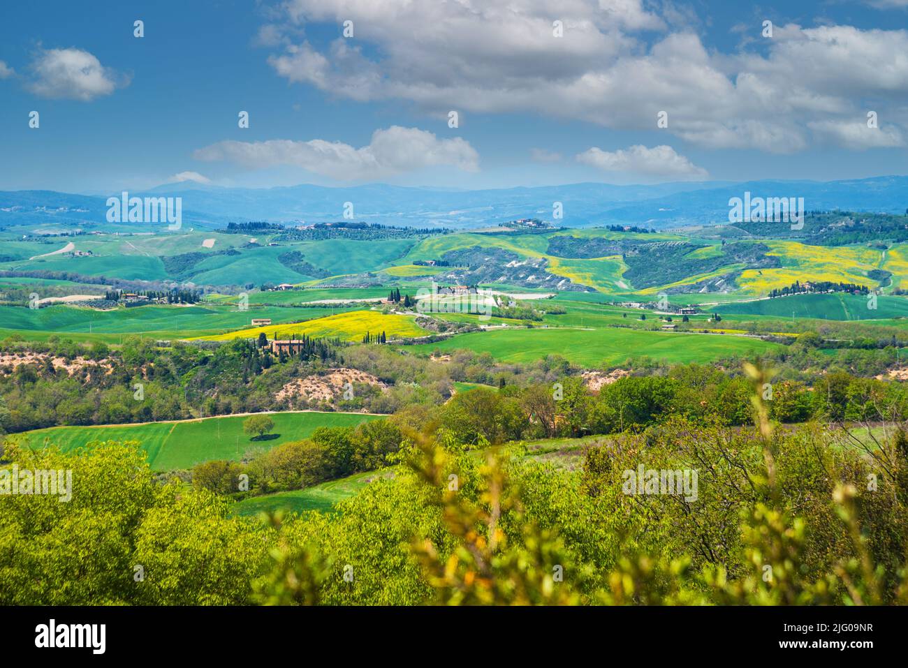 Tuscany, Italy. Val d'Orcia scenic hill landscape panorama with typical farmhouses surrounded by cypress trees and blossoming rapeseed flowers Stock Photo
