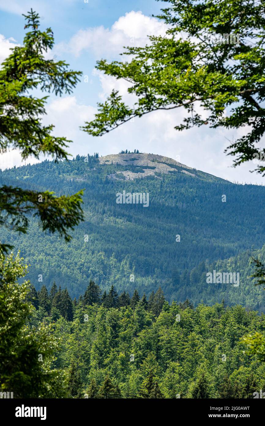 Mauth Mauth, Germany. 06th July, 2022. The Lusen with 1373 meters height in ...