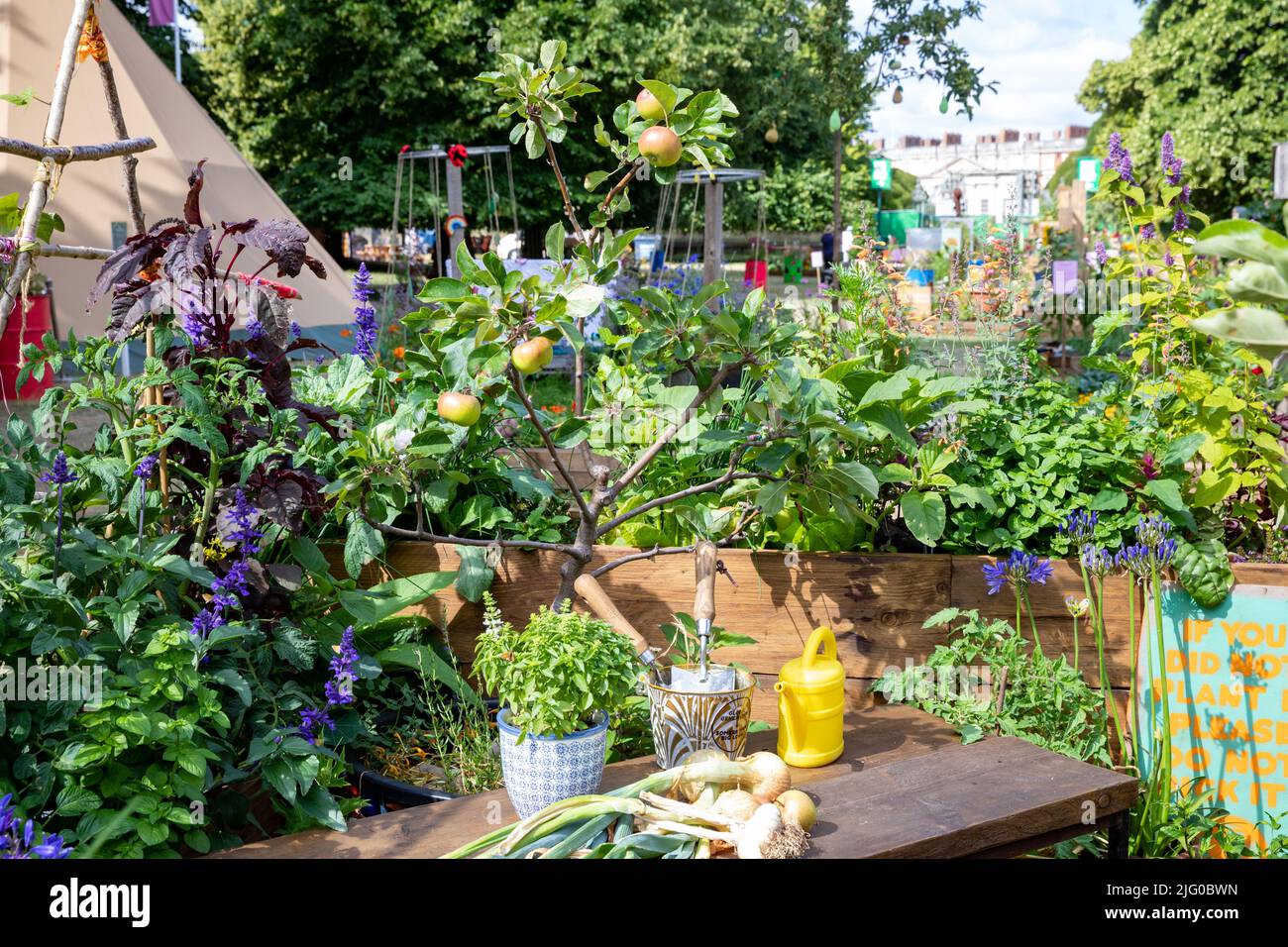 Allotment Gardens at Hampton Court Palace Flower Festival Stock Photo