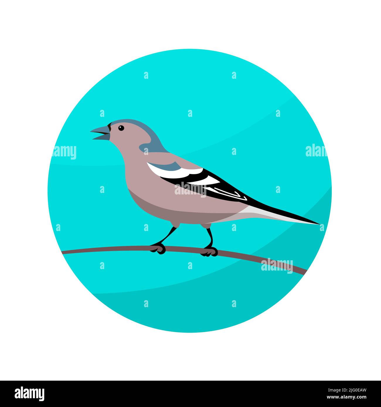 Finch forest songbird. Sitting on a tree branch. Beautiful small wild bird. Finch pet. Animals and fauna of wild nature. Zoology and ornithology. Vect Stock Vector