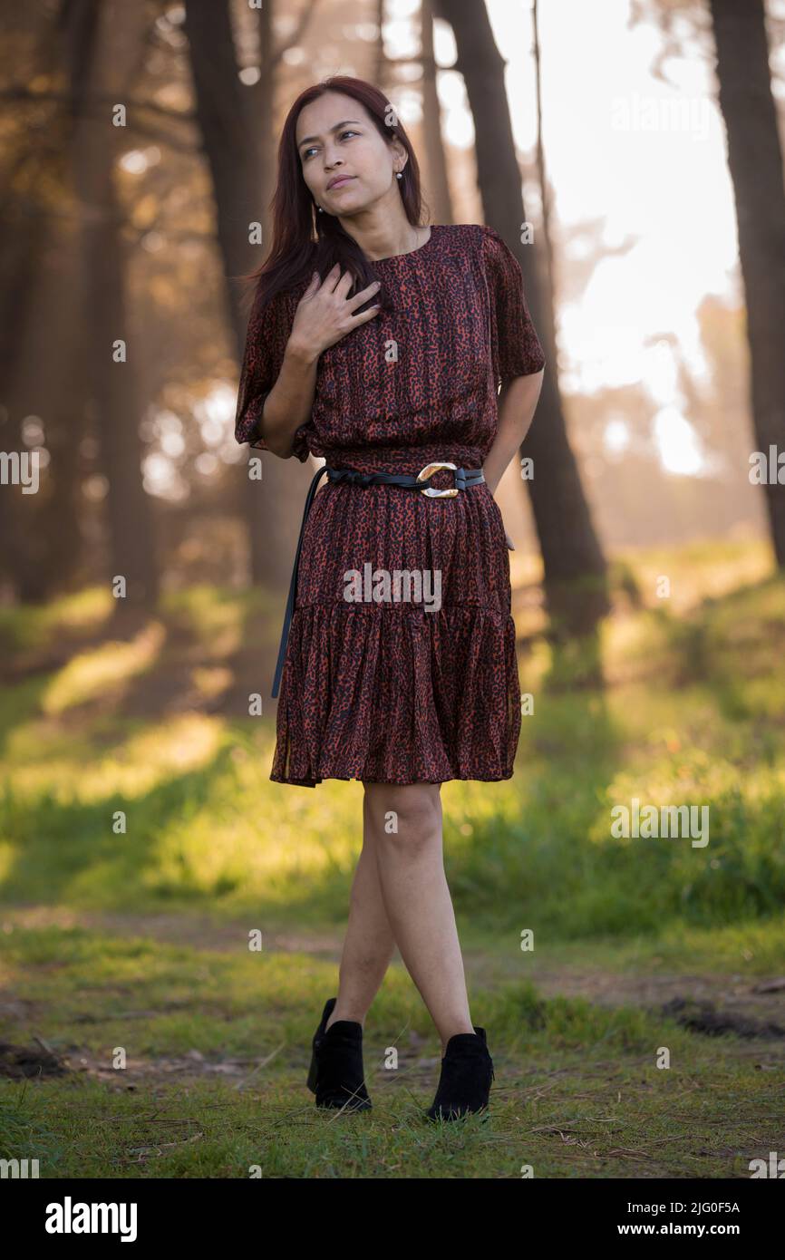 A portrait of a Hispanic female wearing a smart casual dress outfit in the  woods Stock Photo - Alamy