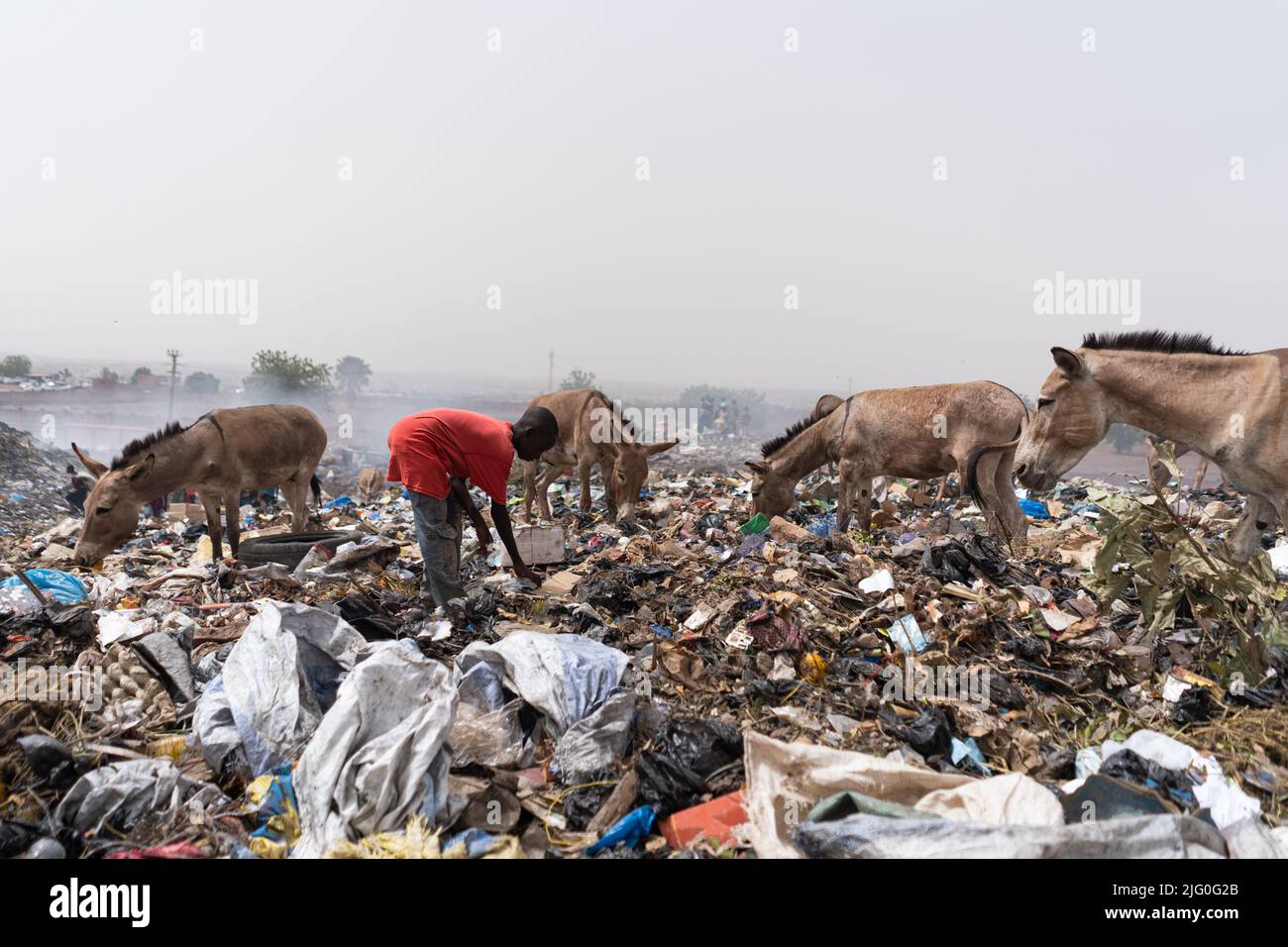 A smoking suburban landfill in West Africa, with donkeys and a street child searching for recyclable substances; pollution concept Stock Photo