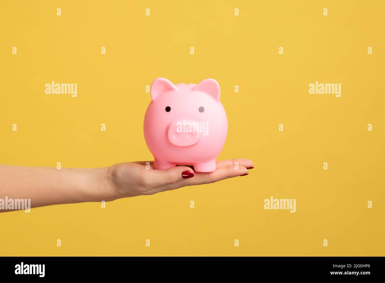 Closeup profile shot of woman hand holding pink piggy bank, investment, saving money, currency, deposit. Indoor studio shot isolated on yellow background. Stock Photo