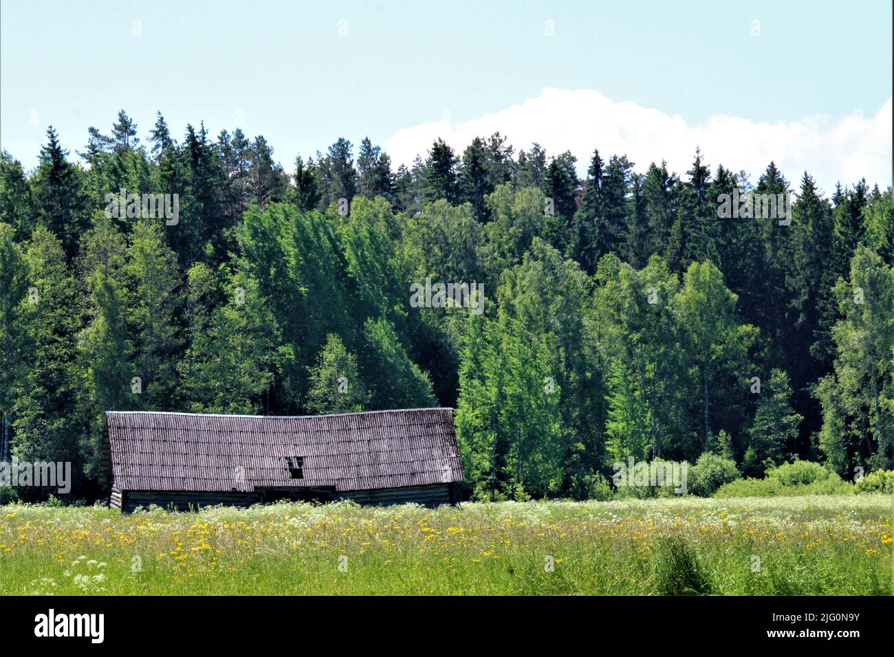 The beautiful nature of Latvia. Stock Photo