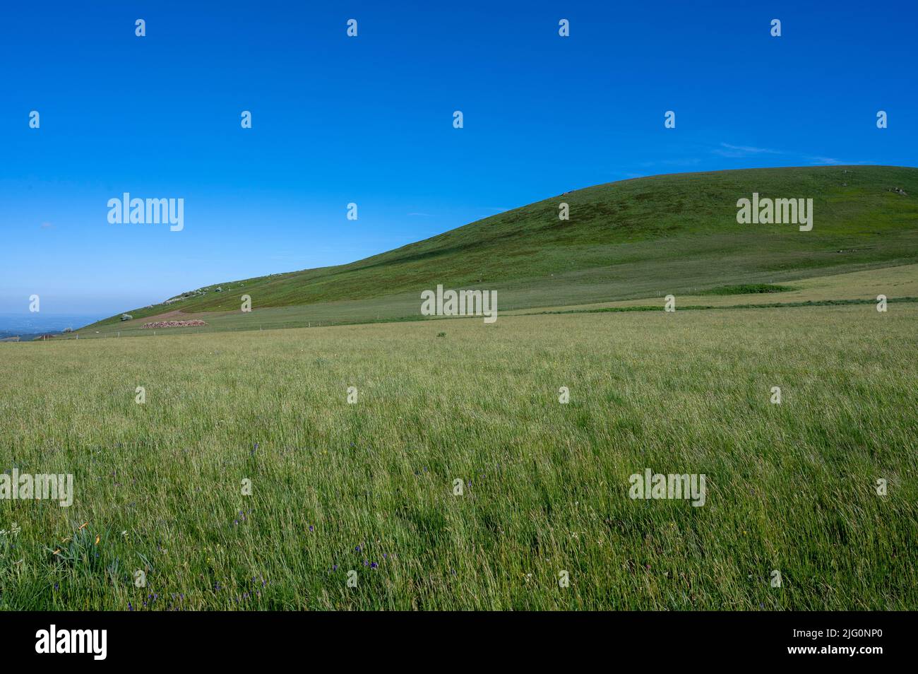 Landscape of the Auvergne mountains in the Monts Dore massif in spring in France Stock Photo
