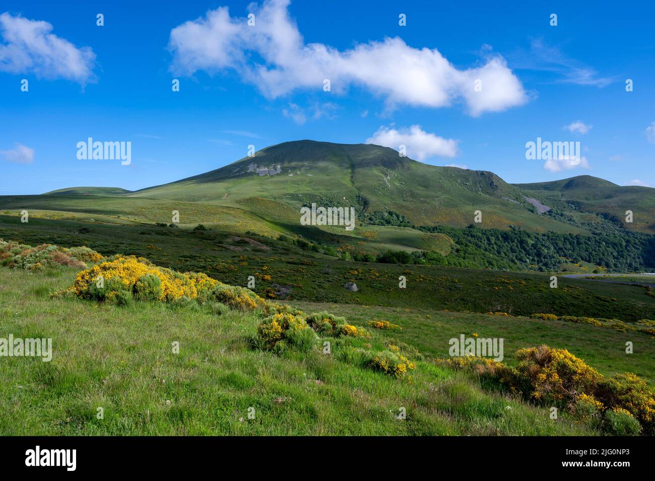 Landscape of the Auvergne mountains in the Monts Dore massif in spring in France Stock Photo