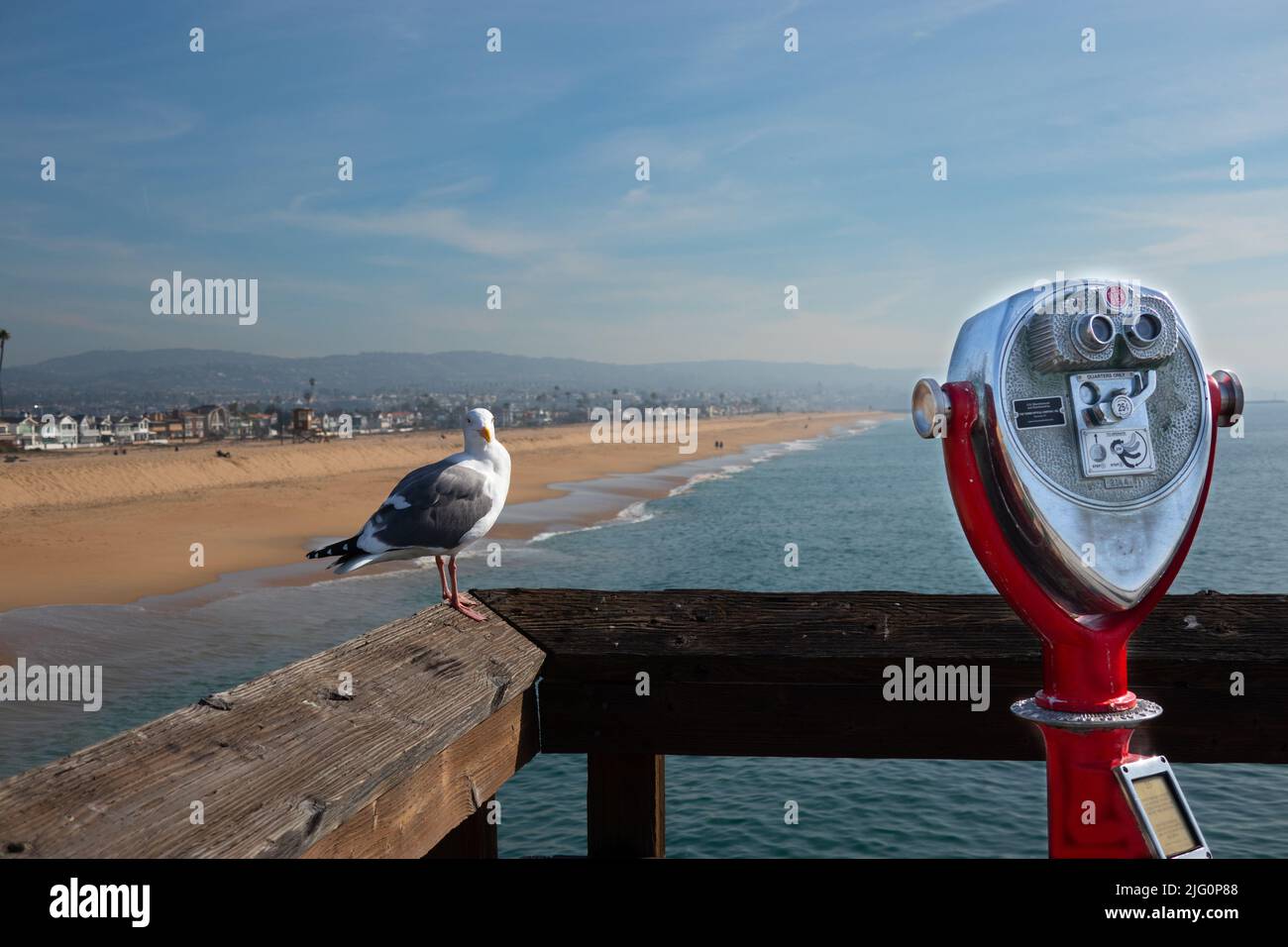 Coin operated binoculars and close up of seagull on pier looking over the long sandy beaches on the Balboa peninsula Newport Beach Southern Californii Stock Photo