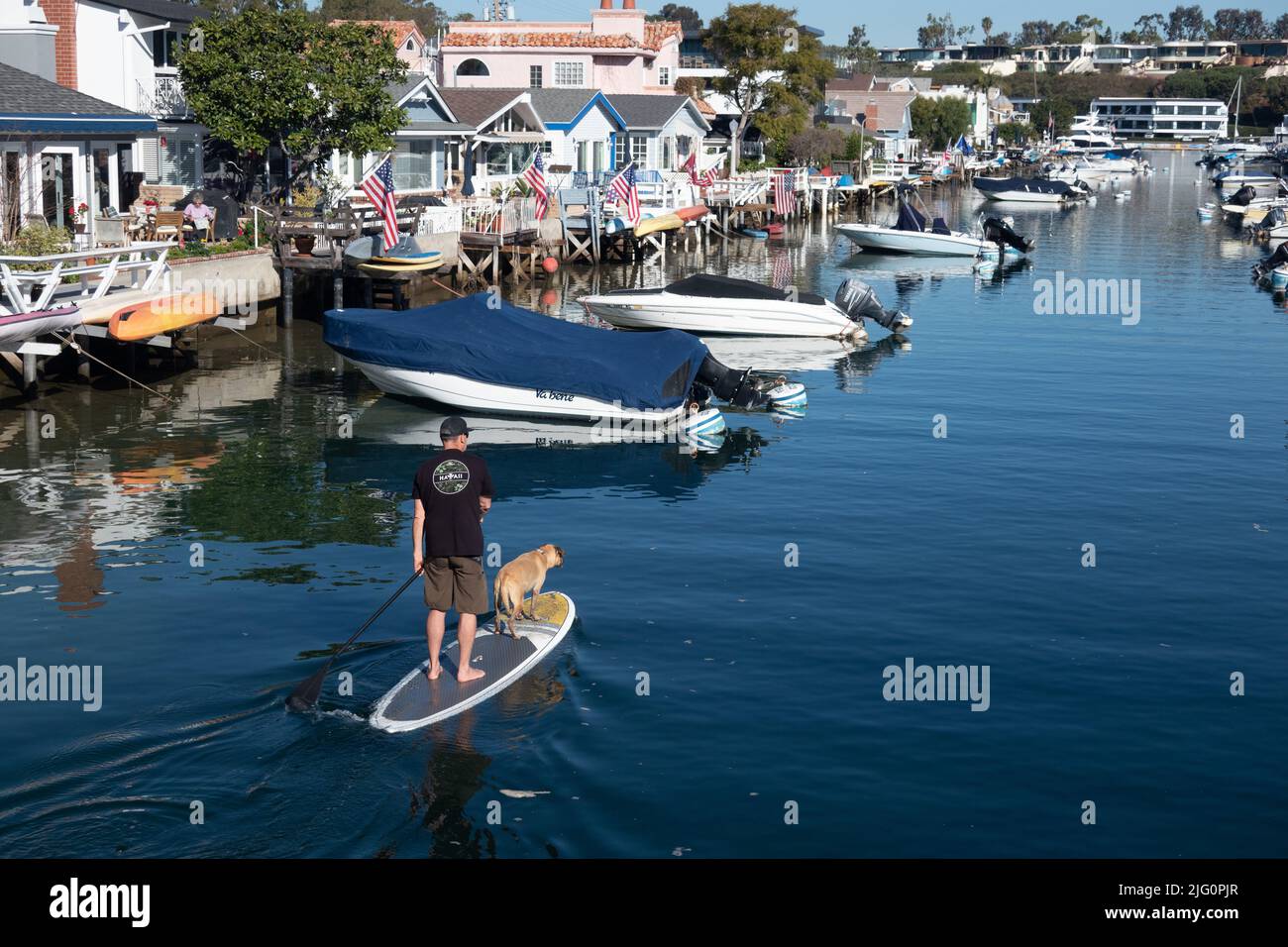 Paddle Boarding with dog along the Grand canal Balboa island Newport Beach Souther California USA Stock Photo
