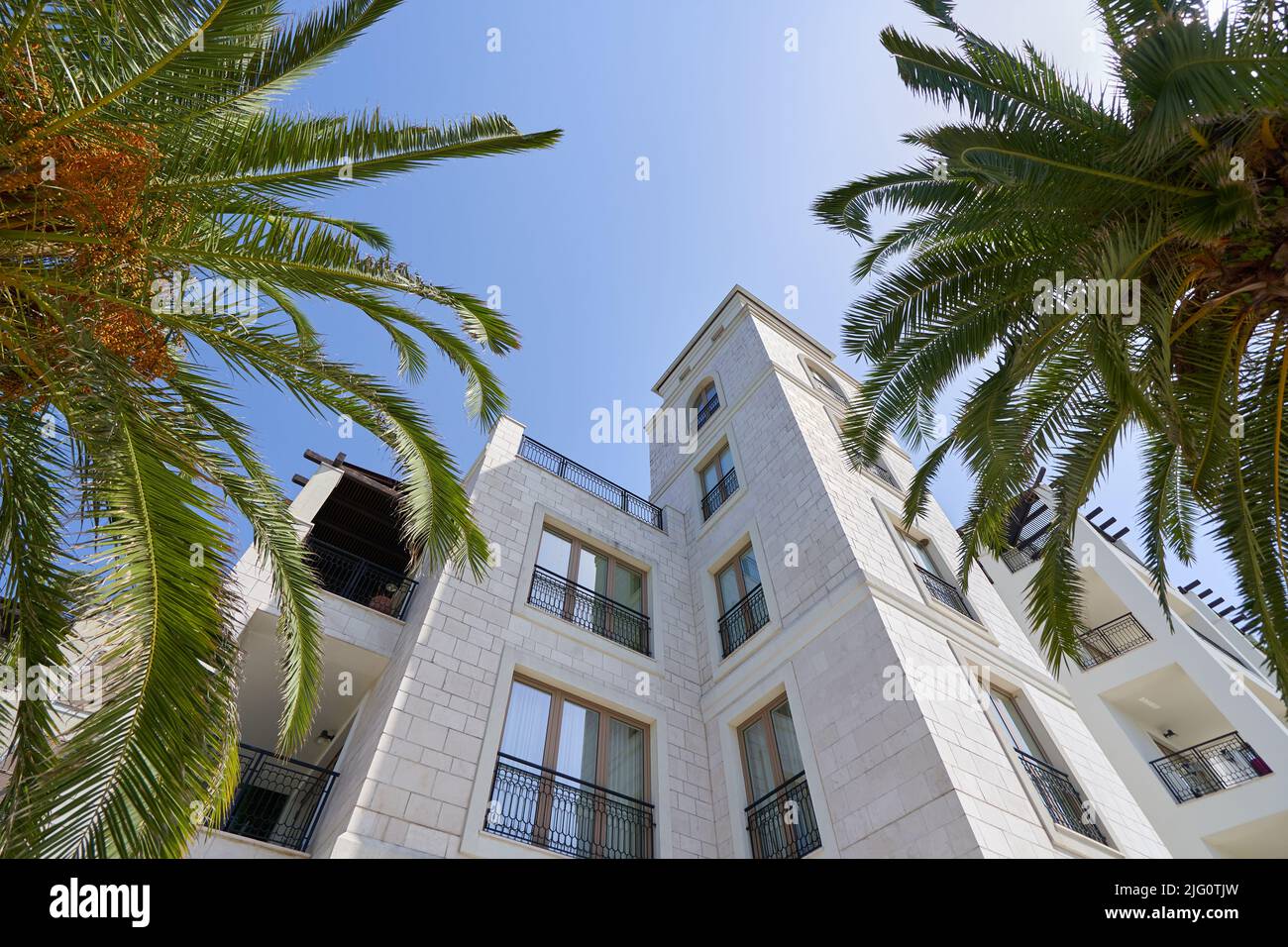 View of a luxury residential building through palm trees, housing concept. Stock Photo