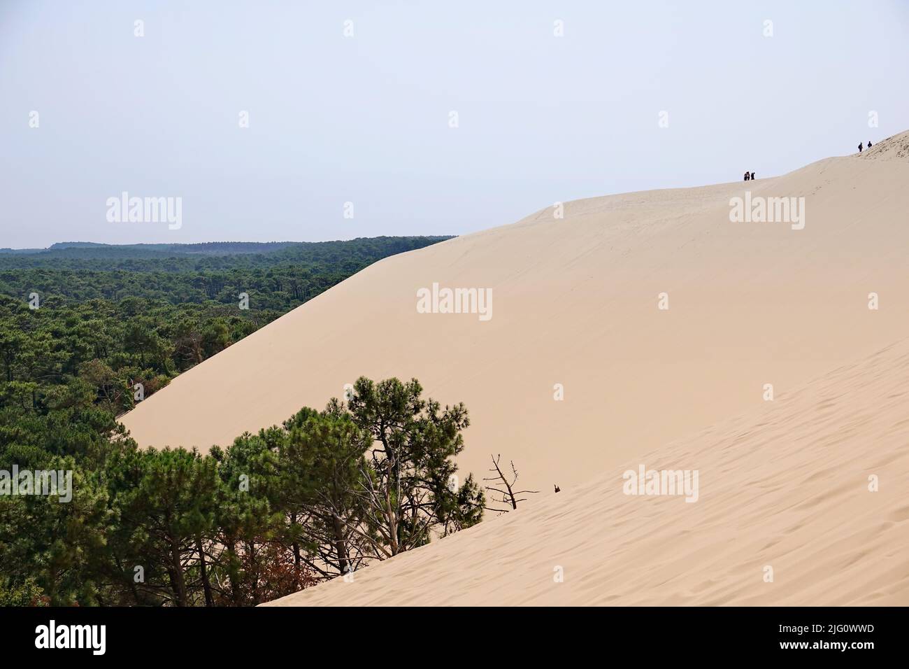 Dune du Pyla - the largest sand dune in Europe, Aquitaine, France - August 2018 Stock Photo