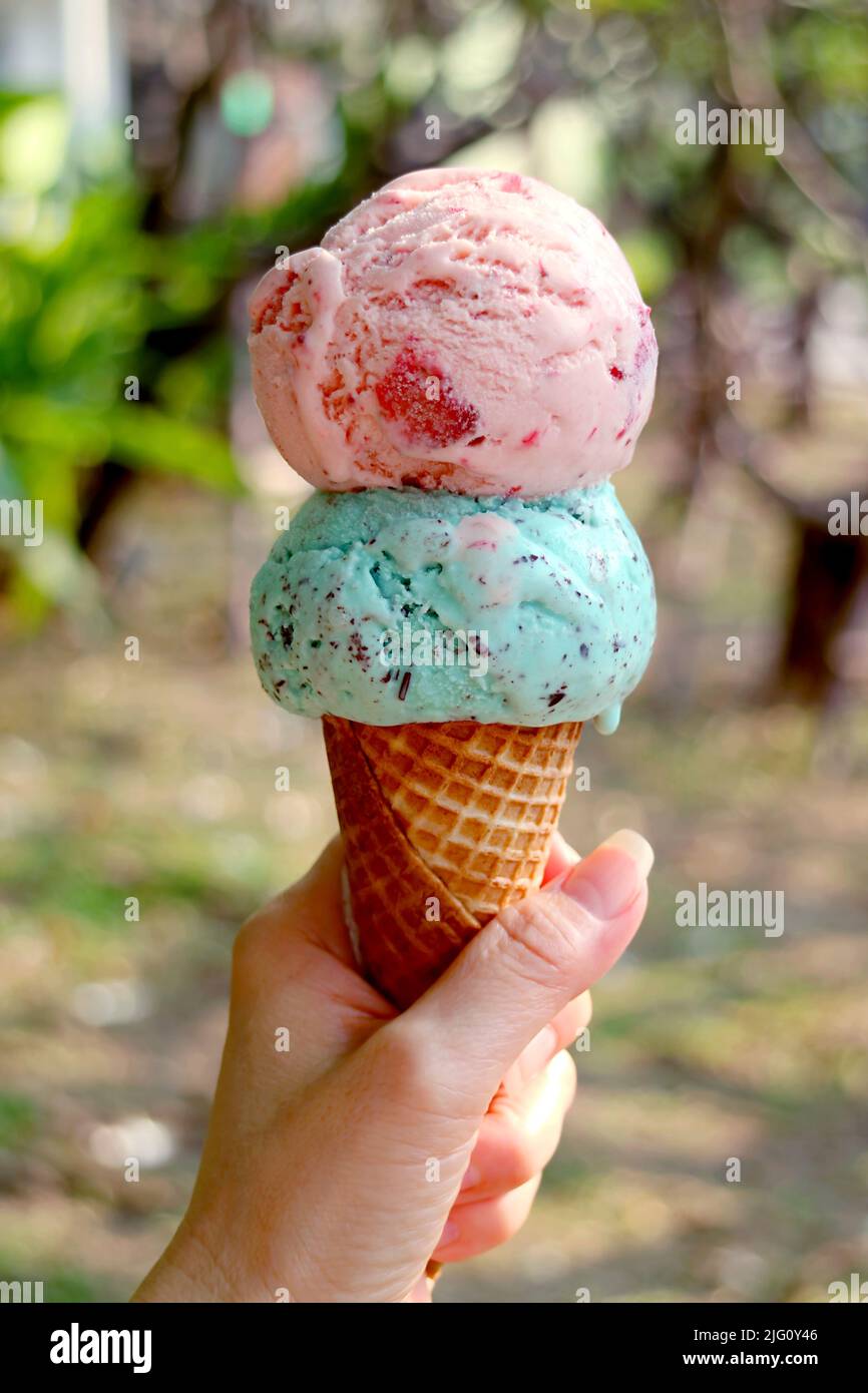 Hand holding a crispy cone with two scoops of ice cream against blurry summer garden Stock Photo