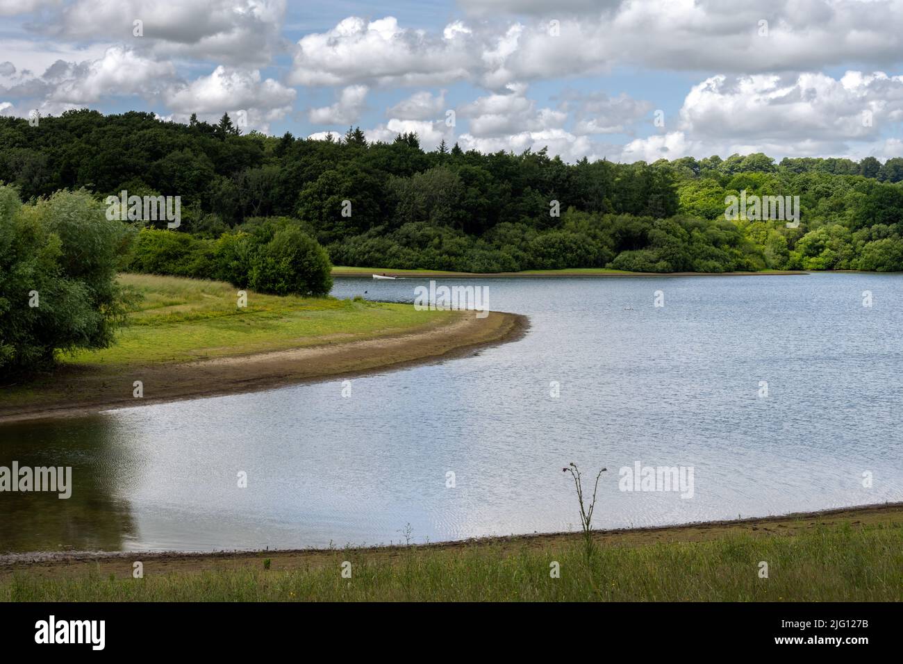 View of Bewl Water reservoir on a summer afternoon, Kent, South of England Stock Photo