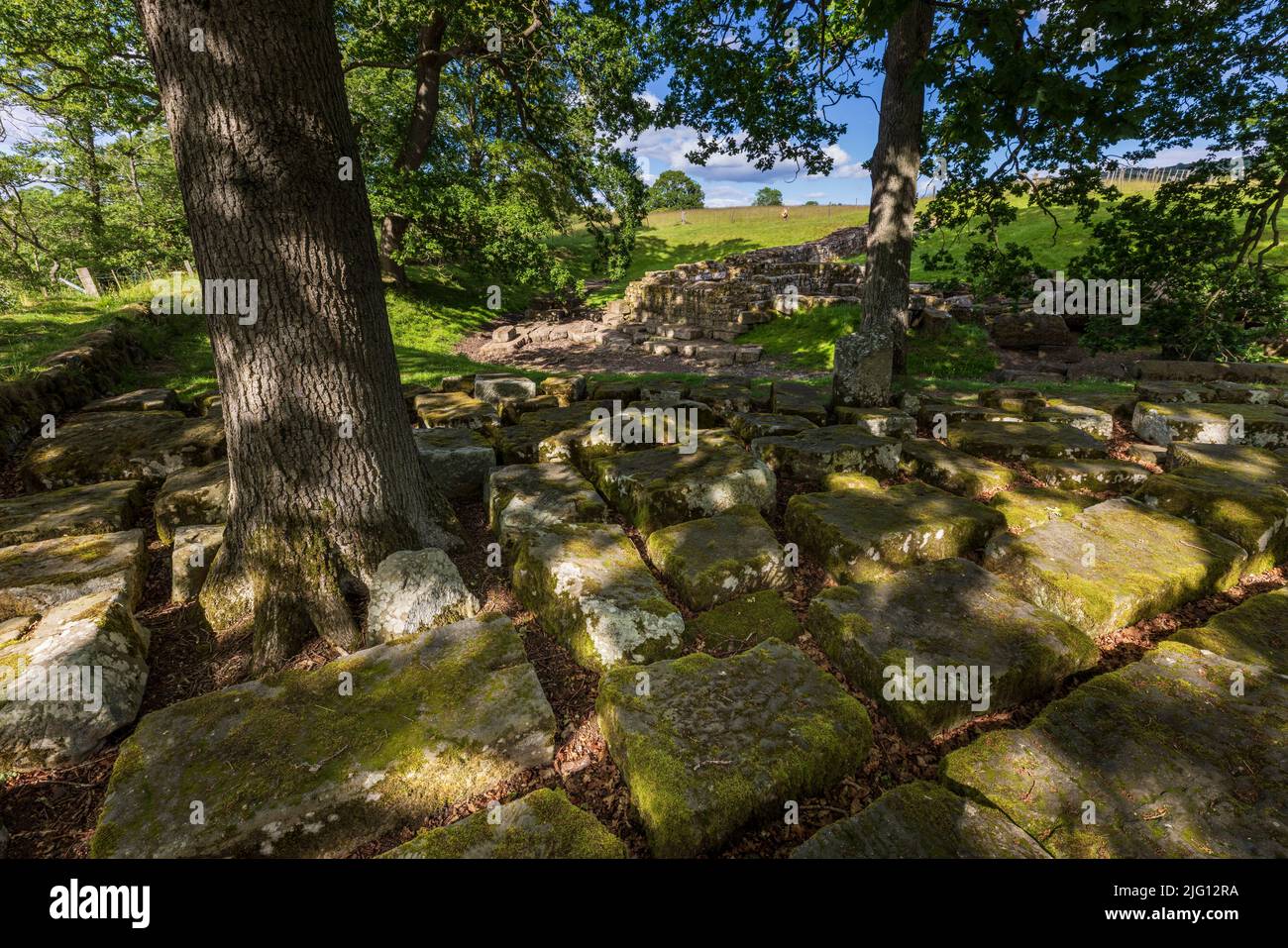 Stone blocks from the Roman bridge on the east bank of the North Tyne river, Chesters Roman Fort, Northumberland, England Stock Photo