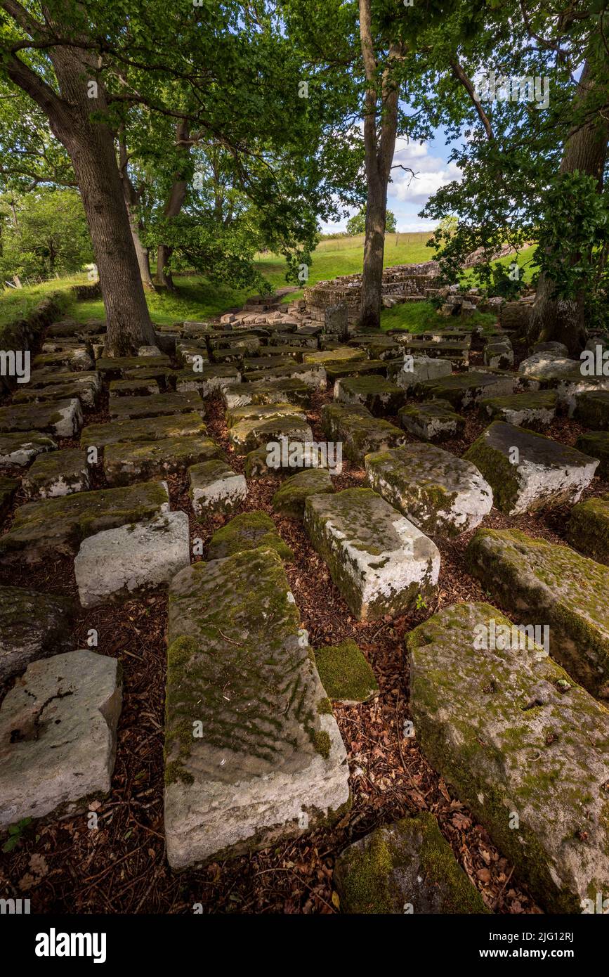 Stone blocks from the Roman bridge on the east bank of the North Tyne river, Chesters Roman Fort, Northumberland, England Stock Photo