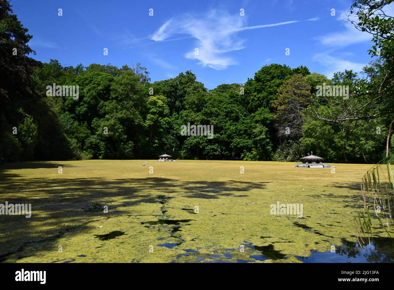 Pond in Kilkenny Castle Park Stock Photo - Alamy
