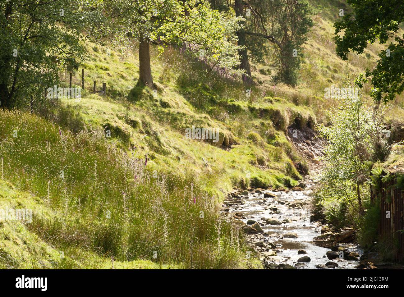 Trough of Bowland valley in the Forest of Bowland Area of Outstanding