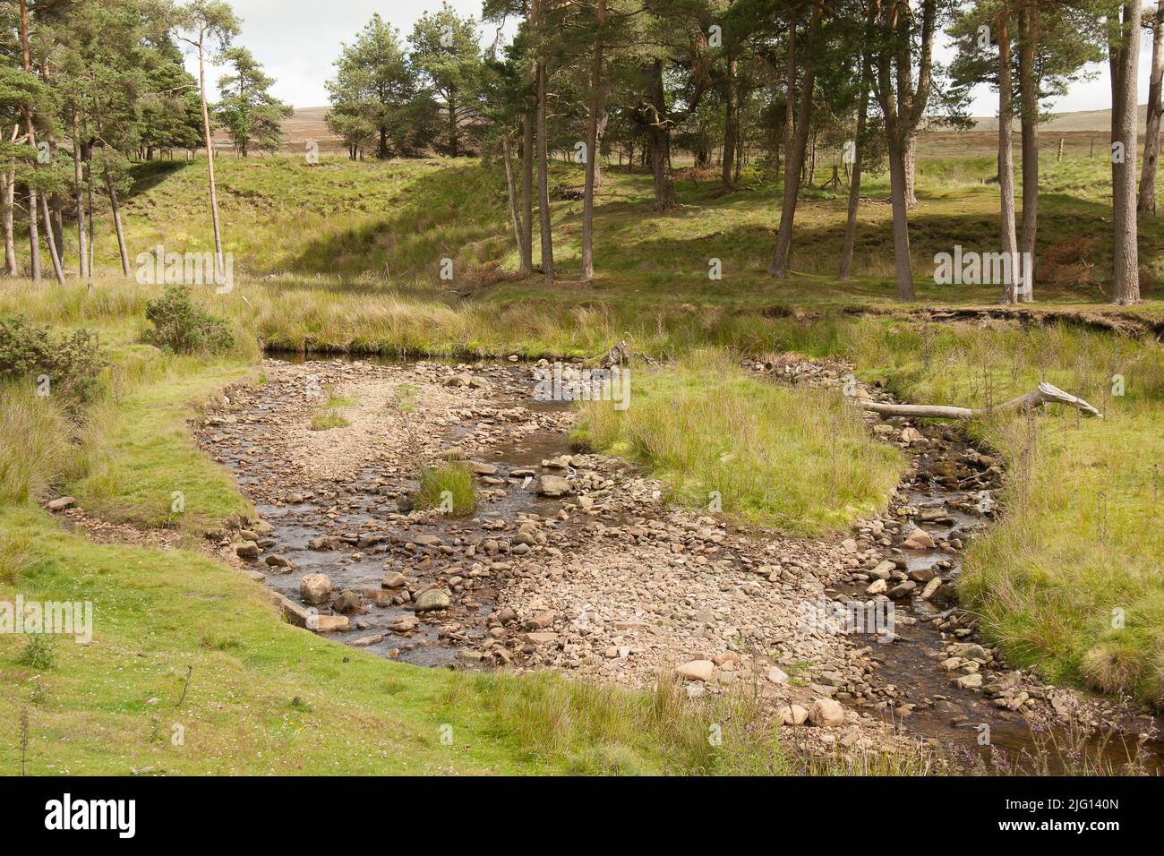 Trough of Bowland valley in the Forest of Bowland Area of Outstanding