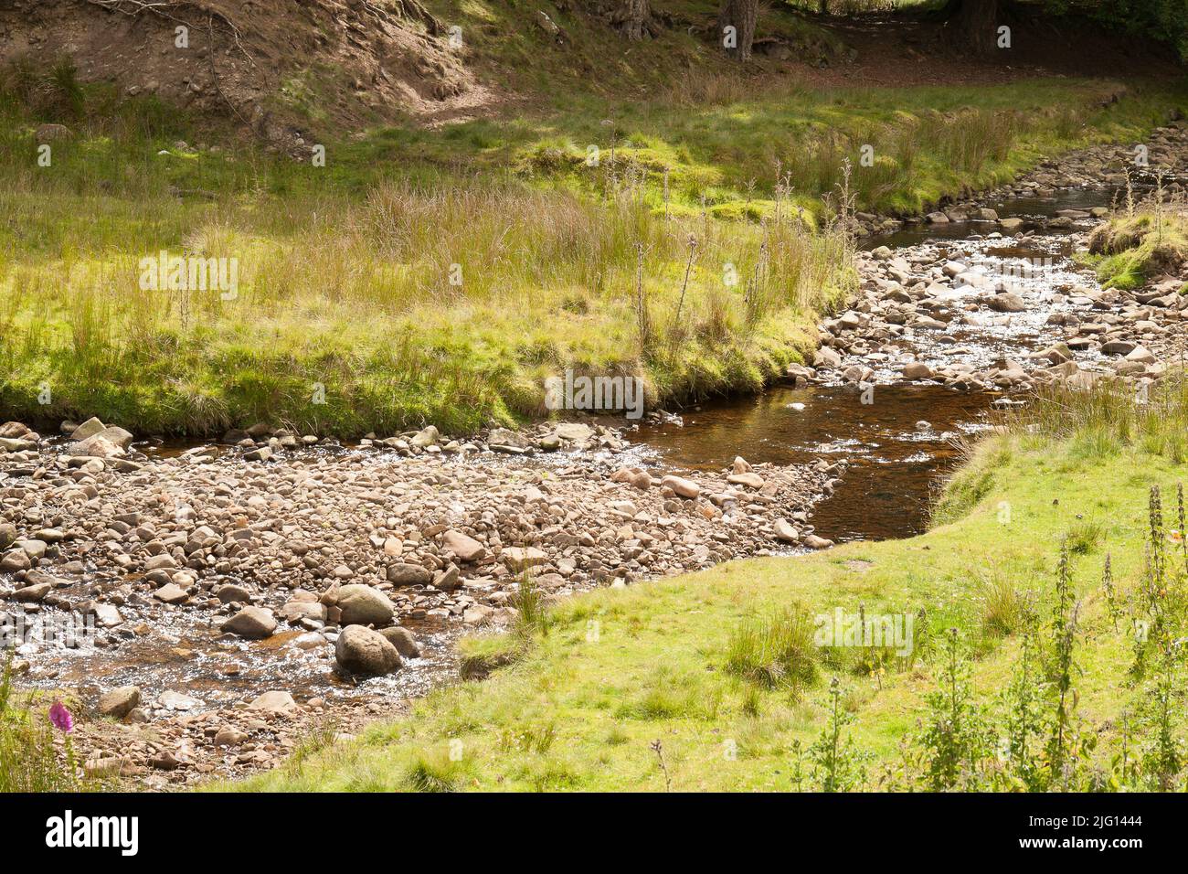 Trough of Bowland valley in the Forest of Bowland Area of Outstanding