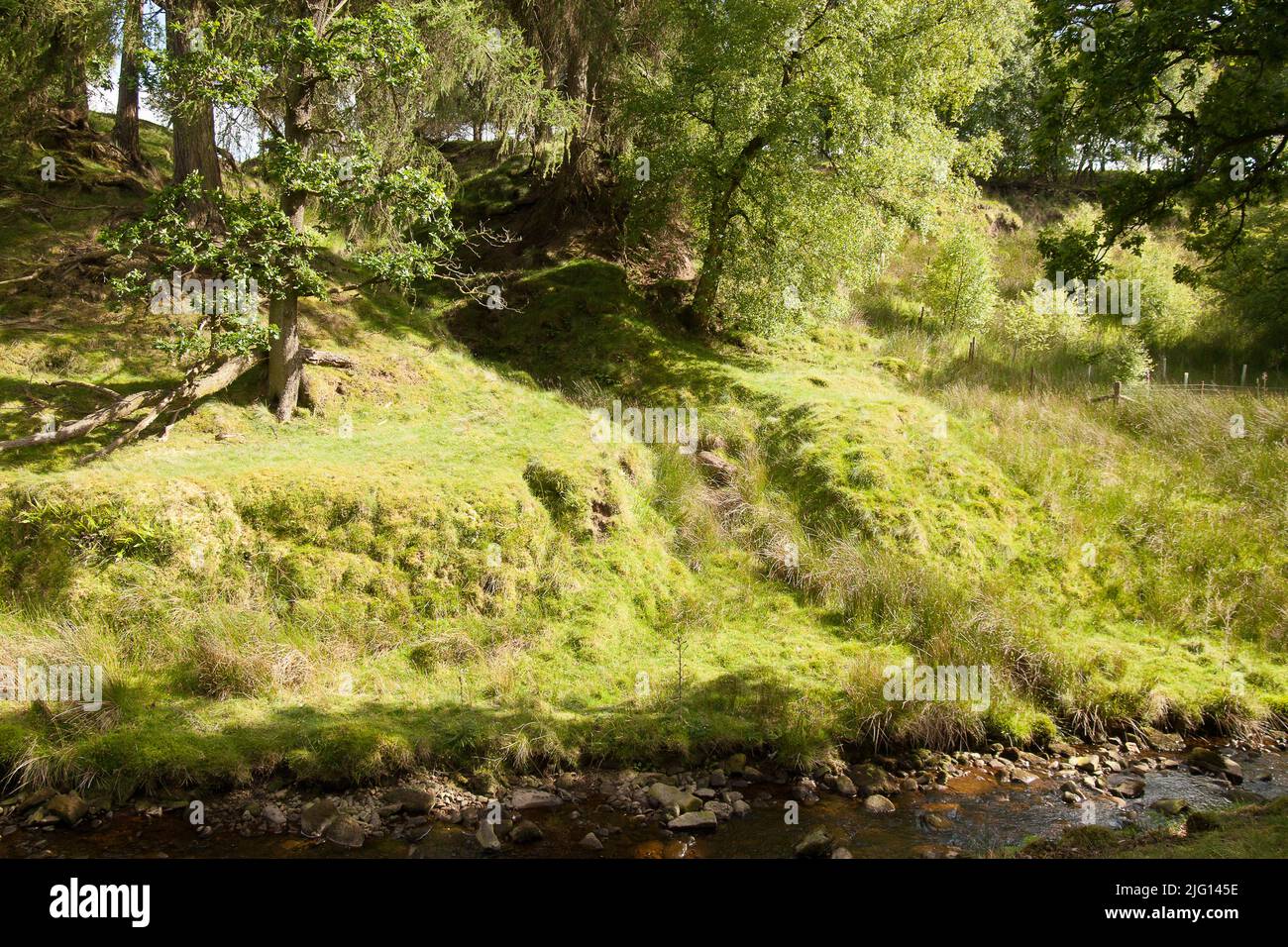Trough of Bowland valley in the Forest of Bowland Area of Outstanding