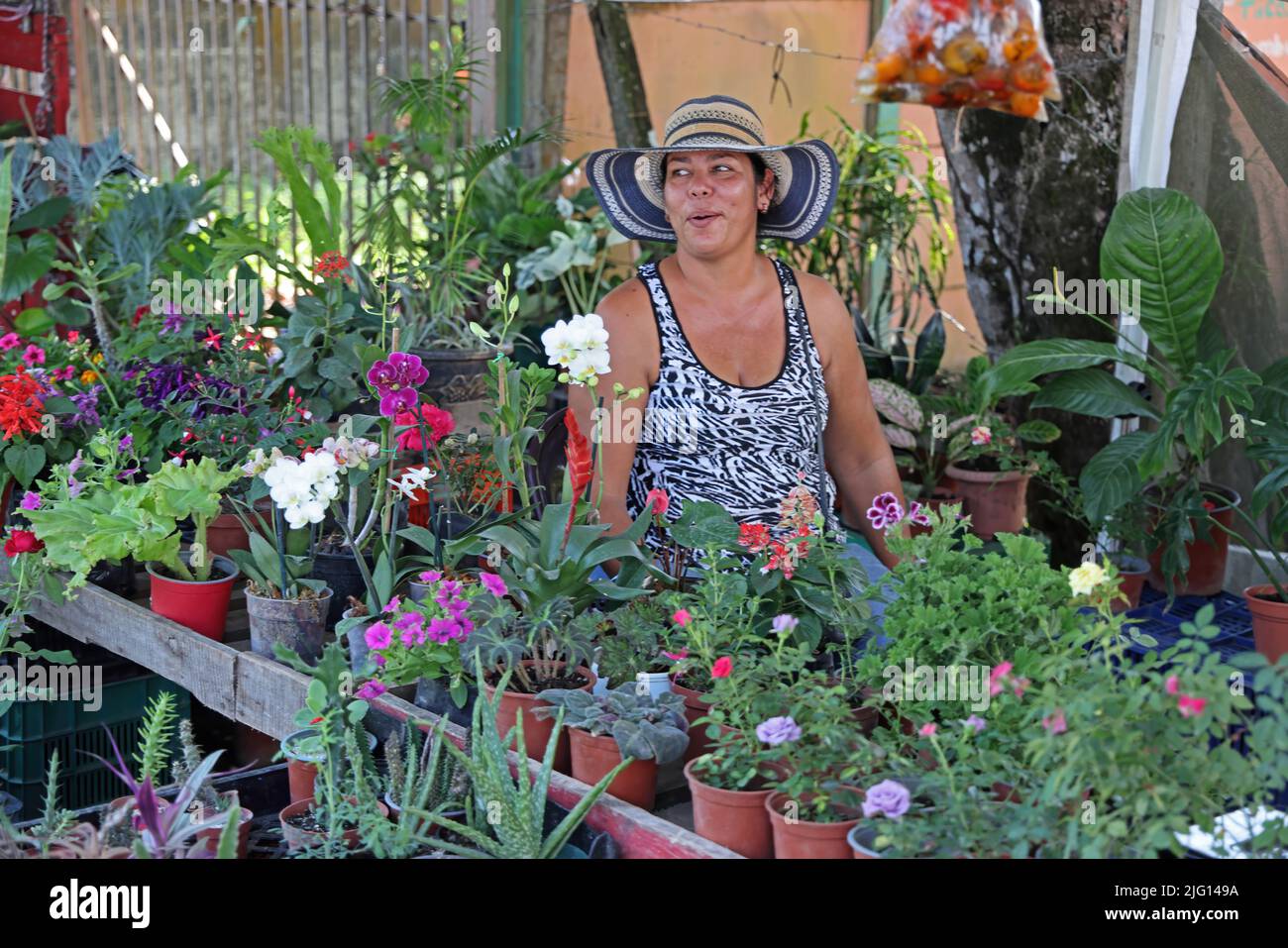 Flower seller at market stall Osa Peninsula, Costa Rica,                    March Stock Photo