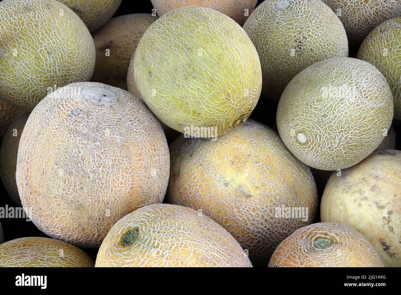 Melons in market stall Osa Peninsula, Costa Rica                     March Stock Photo