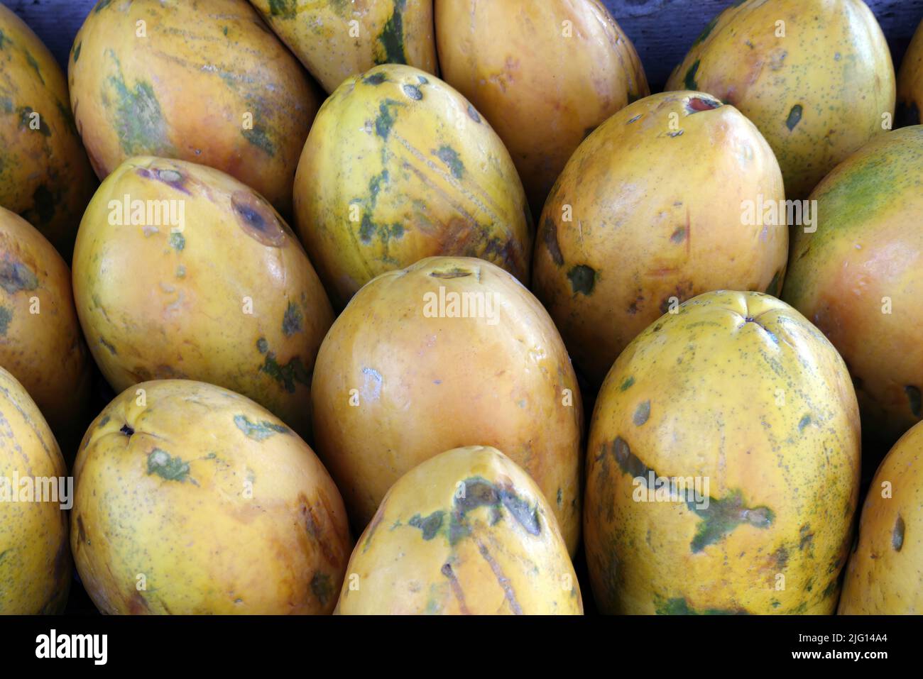 Papaya fruit on market stall Osa Peninsula, Costa Rica                     March Stock Photo