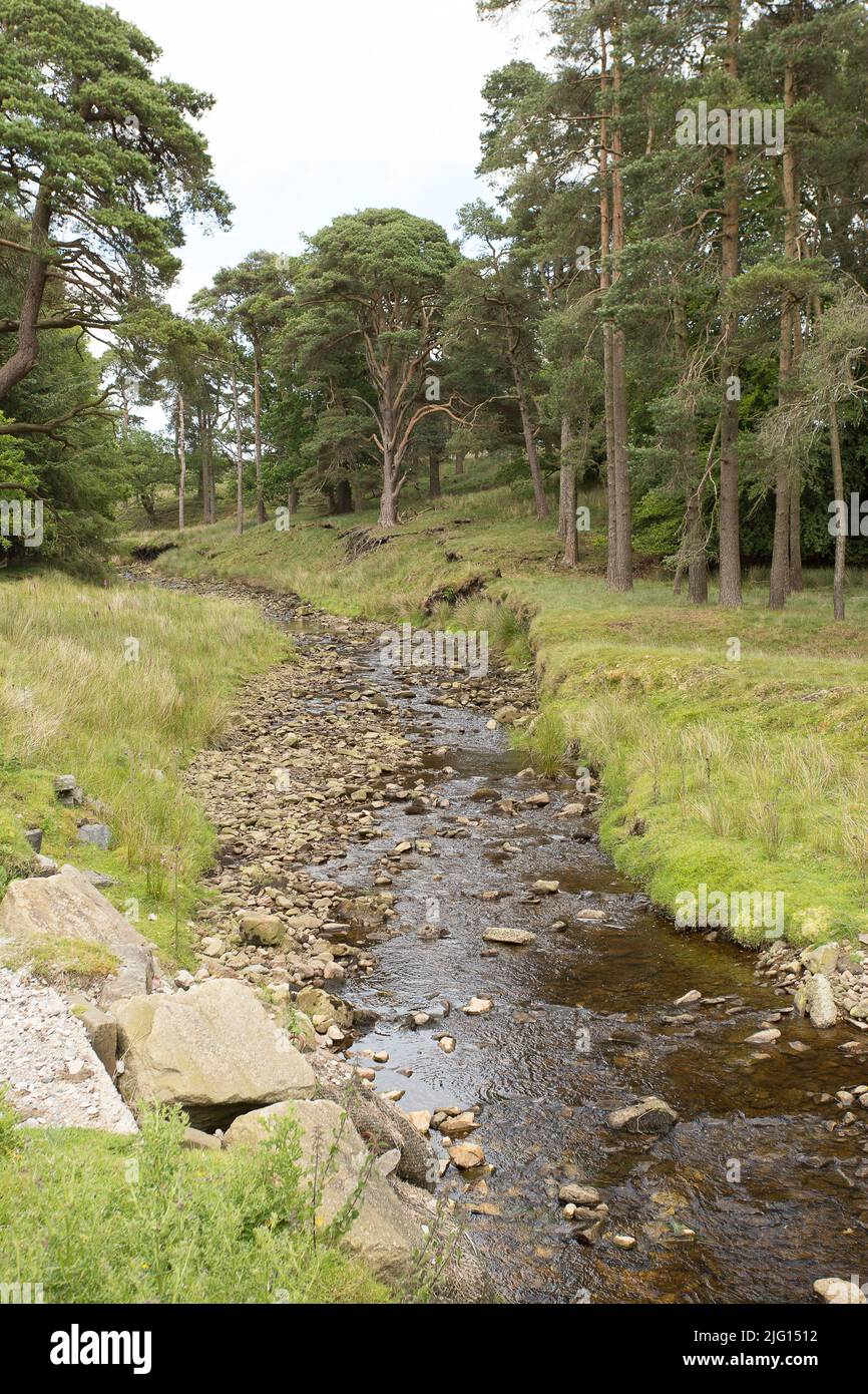 trough-of-bowland-valley-in-the-forest-of-bowland-area-of-outstanding