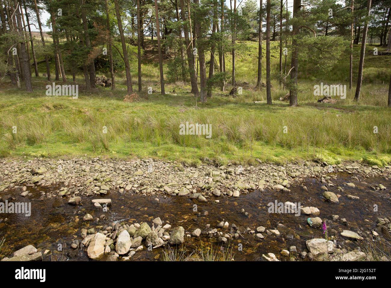 Trough of Bowland valley in the Forest of Bowland Area of Outstanding