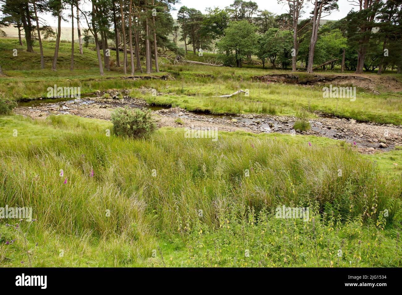 Trough of Bowland valley in the Forest of Bowland Area of Outstanding