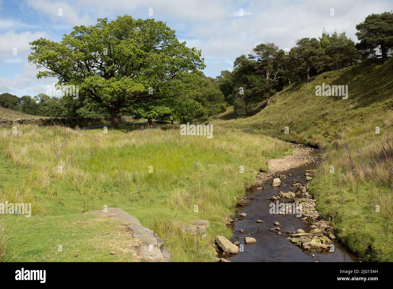 trough-of-bowland-valley-in-the-forest-of-bowland-area-of-outstanding